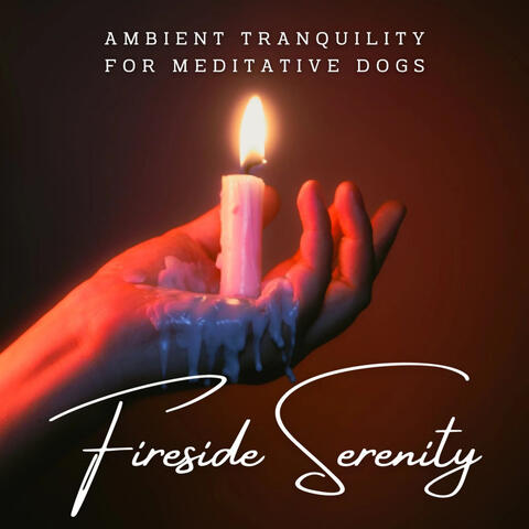 Canine Fireside Serenity: Ambient Tranquility for Meditative Dogs