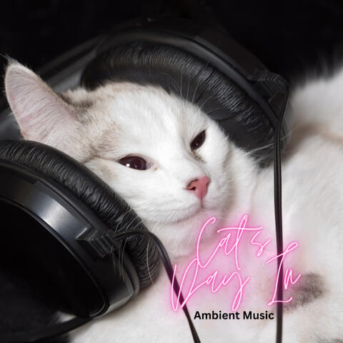 Cat's Day In: Ambient Music