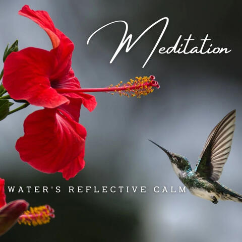 Aqua Harmony: Ambient Nature Meditation