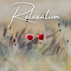 Soft Rainfall Reverie