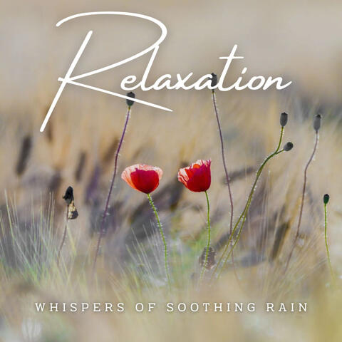 Rainfall Radiance: Ambient Serenity for Relaxation