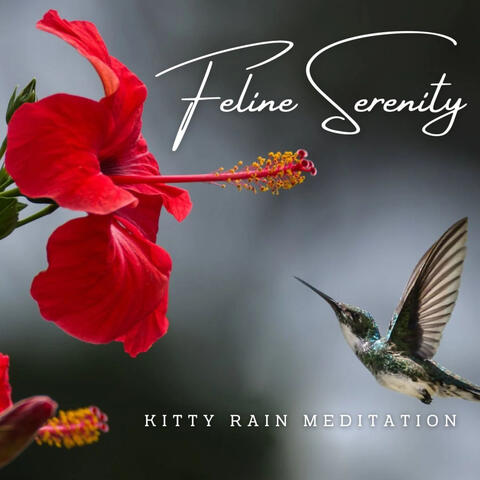 Feline Serenity: Rainfall Ambiance for Cats