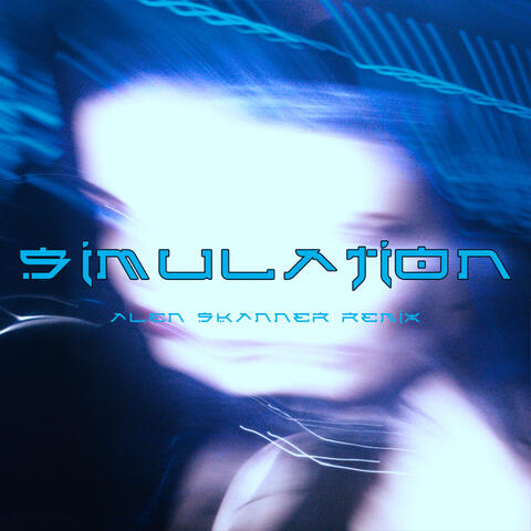 Simulation