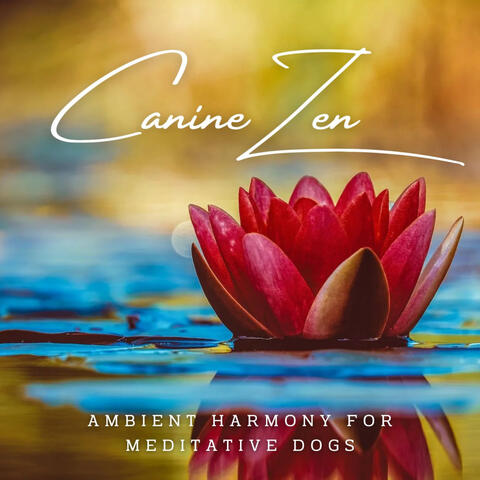 Watery Canine Zen: Ambient Harmony for Meditative Dogs
