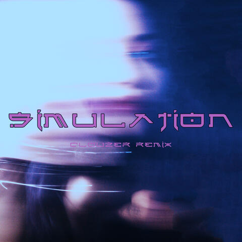 Simulation