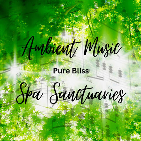 Ambient Music Spa Sanctuaries: Pure Bliss