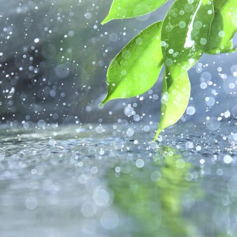 Productive Theta Waves, Rain Environment