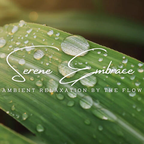 Water's Serene Embrace: Ambient Relaxation by the Flow