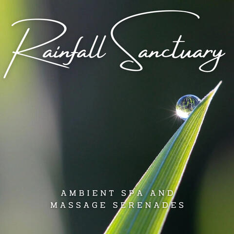 Rainfall Sanctuary: Ambient Spa and Massage Serenades