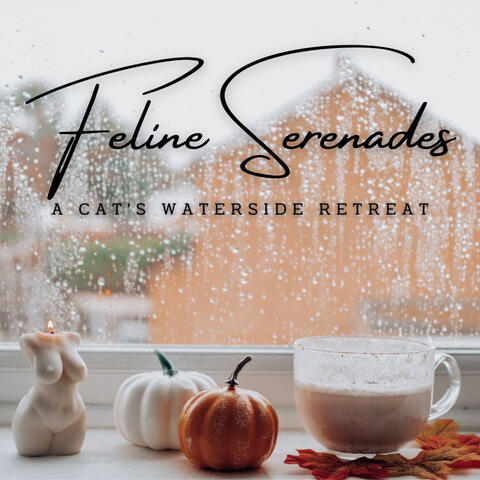 Aquatic Feline Serenades: A Cat's Waterside Retreat