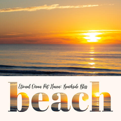 Eternal Ocean Pet Haven: Beachside Bliss