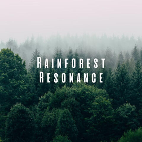 Rainforest Resonance: Forest Rain for Mindful Relaxation
