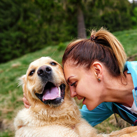 Lofi Pet Sanctuary: Ethereal Melodies Enveloping Cherished Moments