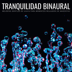 Tranquilidad Binaural De Lluvia Suave