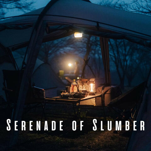 Serenade of Slumber: Rain on Tent with Wind for Restful Sleep
