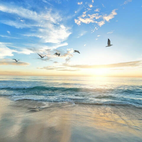Eternal Productivity: Harmonic Oceanic Waves