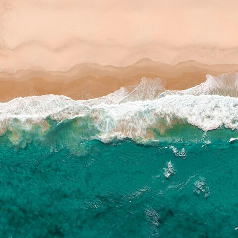 Relaxation Melodies: Ocean Sounds with Seagulls for Serenity
