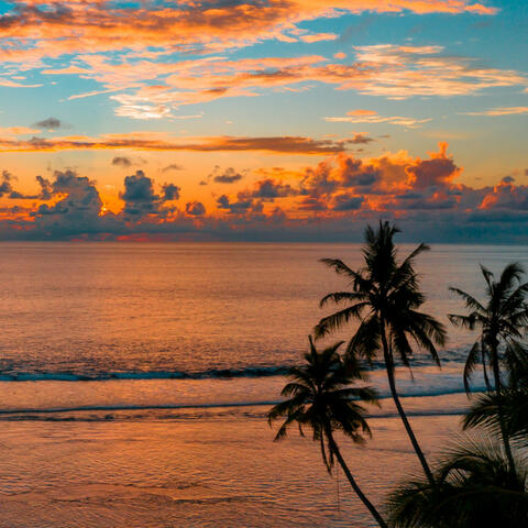 Yoga Escapes: Ocean Harmony Waves