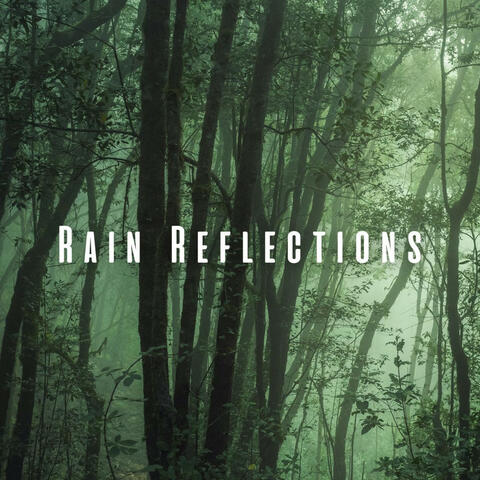 Rain Reflections: Forest Rain for Serene Sleep