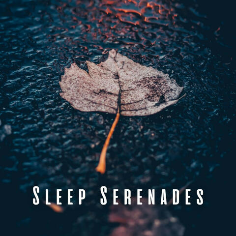 Sleep Serenades: Rain on Puddle with Peaceful Thunder