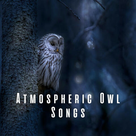 Atmospheric Owl Songs