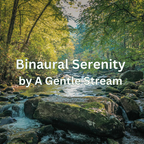 Binaural Serenity by A Gentle Stream