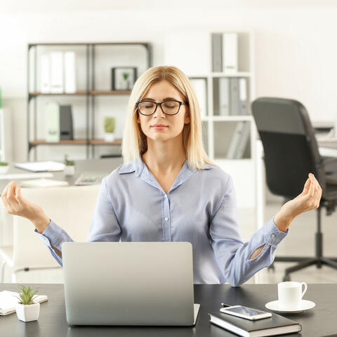 Workspace Serenity Pulse: Lofi Work Meditation