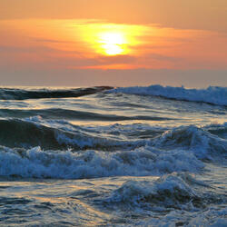 Mystic Clarity on Shoreline