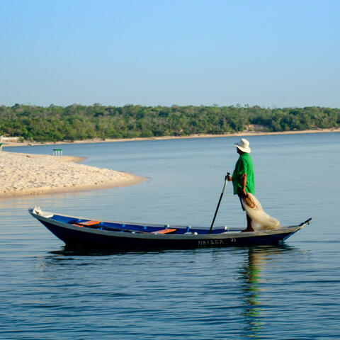 Ambient Work Oasis: Waterside Productivity in Harmony