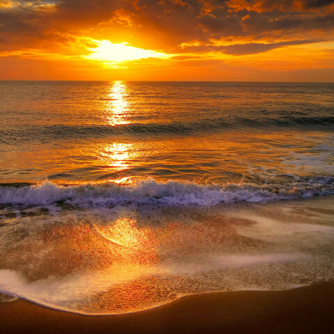 Dreamy Beachside Escapes: Oceanic Tranquility