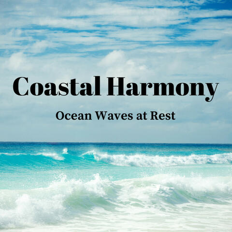 Coastal Harmony: Ocean Waves at Rest