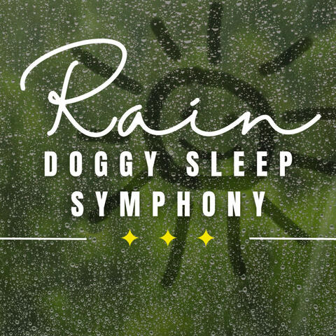 Rainy Day Paws: Relaxation for Dogs