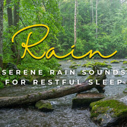 Whispering Raindrops for Restful Sleep