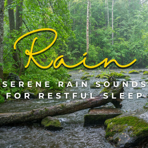 Tranquil Rain Slumbers: Serene Rain Sounds for Restful Sleep