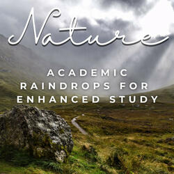 Whispering Rain for Deep Study
