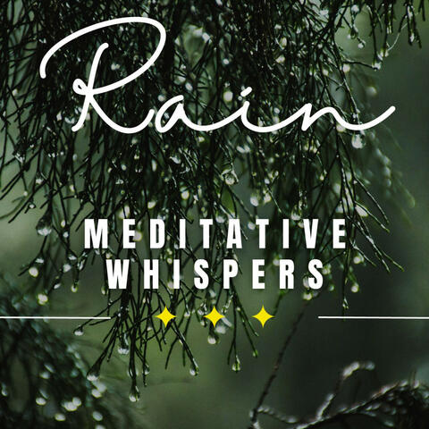 Rain's Embrace: Meditative Serenity