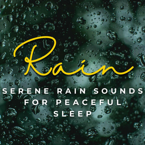 Dreamy Rainfall: Serene Rain Sounds for Peaceful Sleep