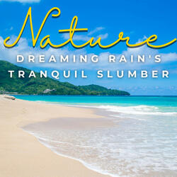 Rain's Quiet Slumber