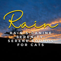 Rain's Calming Catnap Oasis