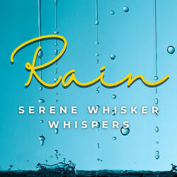 Feline Rain's Blissful Nap