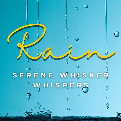 Whiskers and Rain: Feline Serenity