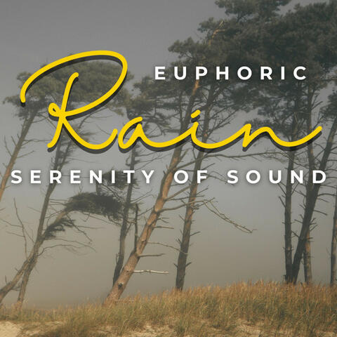 Euphoric Rain: Serenity in Sound