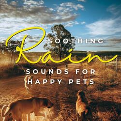 Rainfall Serenade for Content Whiskers