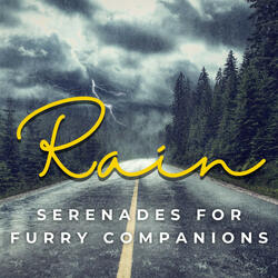Serene Rain's Companion Rest