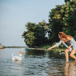 Ambient Waves Greet