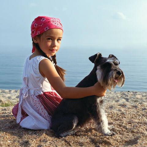 Dog's Haven by Ambient Water's Embrace
