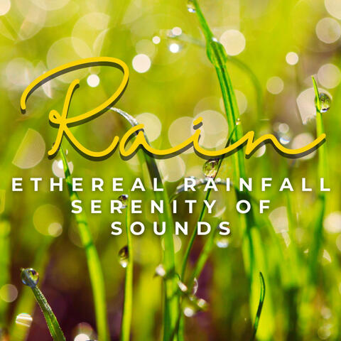 Ethereal Rainfall: Serenity in Sound