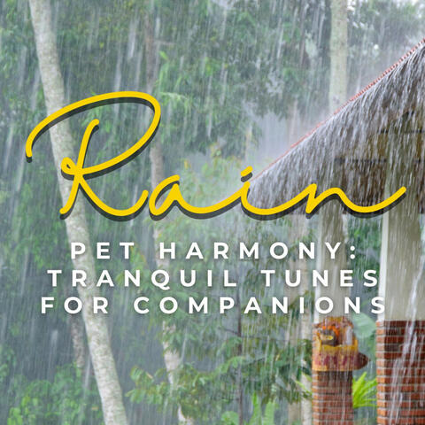 Rain's Pet Harmony: Tranquil Tunes for Companions