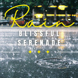 Rain's Dreamy Reverie