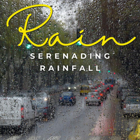 Serenading Rainfall: Calm Oasis